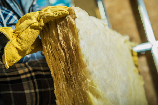 Best DIY Insulation Kits and Guidance in Kirkl, IN