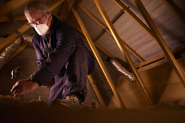 Best Geographic-Specific Insulation Services in Kirkl, IN